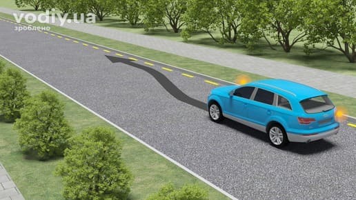 Горизонтальна дорожня розмітка 1.10.1, синій автомобіль здійснює стоянку біля краю проїзної частини з жовтою переривчастою лінією.