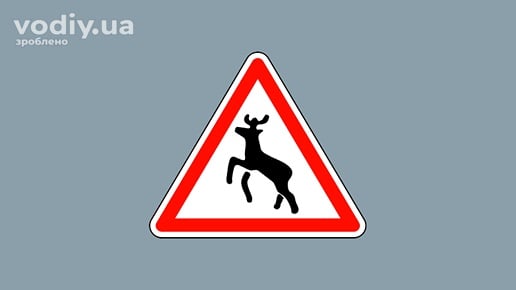 Дорожній знак 1.36 «Дикі тварини»