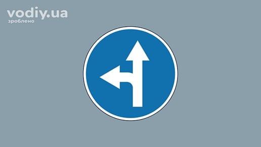 Дорожній знак 4.5 «Рух прямо або ліворуч»