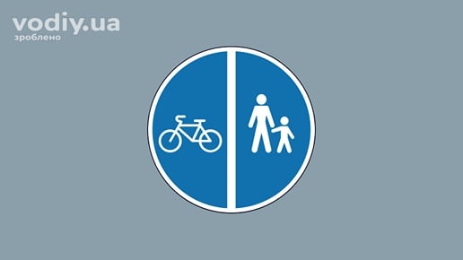 Дорожній знак 4.18 «Суміжні пішохідна та велосипедна доріжки» на синьому фоні з білою роздільною лінією.