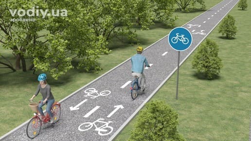 Дорожній знак 4.14 «Доріжка для велосипедистів», розмітка 1.36 та велосипедисти на спеціальній доріжці поза межами проїзної частини.