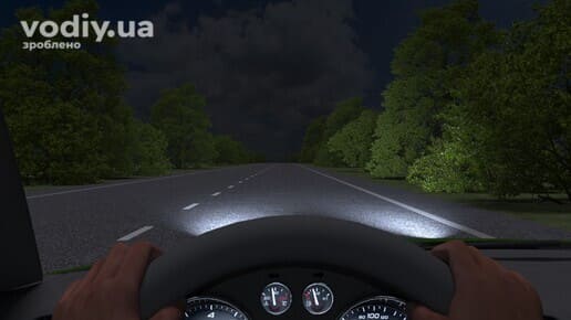 Вид з місця водія на дорогу вночі, руки на кермі, увімкнене ближнє світло фар автомобіля, дерева на узбіччі.