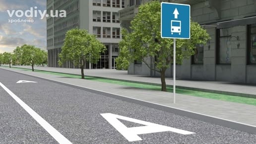 Дорожній знак 5.11 «Смуга для руху маршрутних транспортних засобів» та горизонтальна дорожня розмітка 1.24 у вигляді літери А на асфальті.